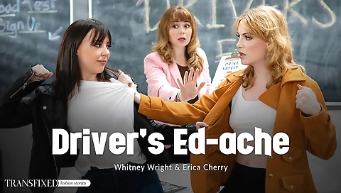 horny tranny with small tits and hairy pussy sucks cock